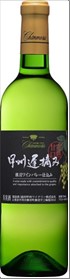 Shanmori Koshu Late Picked Ripe Sweet White 720ml Alc.11%