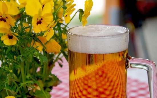 Jug brimming with beer.