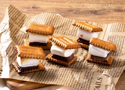 Why Zelico Offers a Wide Range of Biscuit Brands